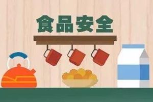 國務(wù)院食品安全辦有關(guān)負(fù)責(zé)人就2019年食品安全重點工作安排答記者問